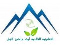 +détails : Cooperative Agricole AIT OUADOUZ AL JABAL