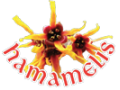 +détails : HAMAMELIS SPA -  Spa Massage & Relaxation Luxe