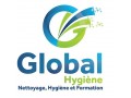 +détails : GLOBAL HYGIÈNE - Société de l'hygiène et de lutte contre les nuisibles 