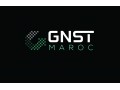 +détails : GNST MAROC - Solutions Géolocalisation Innovantes