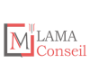+détails : LAMA CONSEIL - Agence Technologie Information