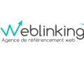 +détails : WEBLINKING - Agence Digitale, Référencement SEO