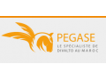 +détails : PEGASE - Solutions Informatiques ERP, CRM, BI , MES