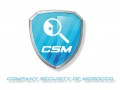 +détails : CSM - Vidéosurveillance ,Controle d'Acces