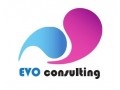 +détails : Evo consulting