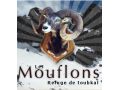 +détails : REFUGE TOUBKAL - Hôtel Les Mouflons