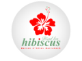 +détails : Riad hibiscus