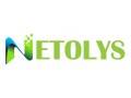 +détails : NETOLYS - Services Informatiques & Réseaux