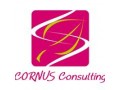 +détails : CORNUS CONSULTING