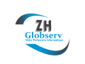 ZH GLOBSERV - Ingénierie Informatique & Nouvelle Technologie